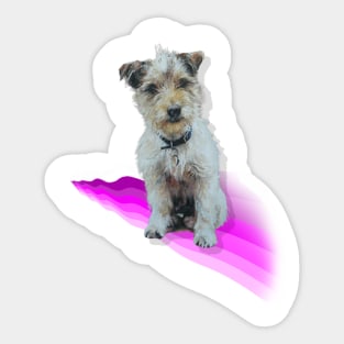 Scruffy Jack Russell Terrier on a rainbow wave! Sticker